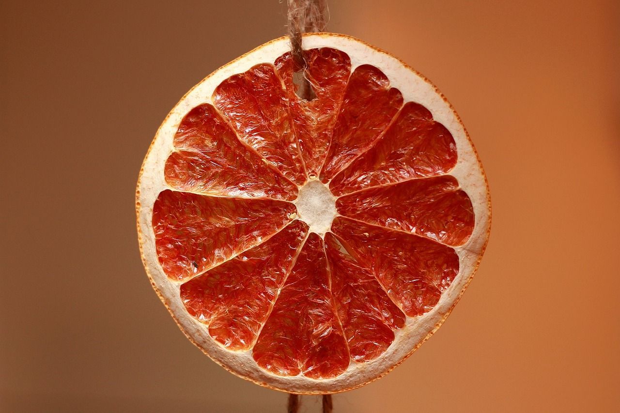 Dried orange slice on string