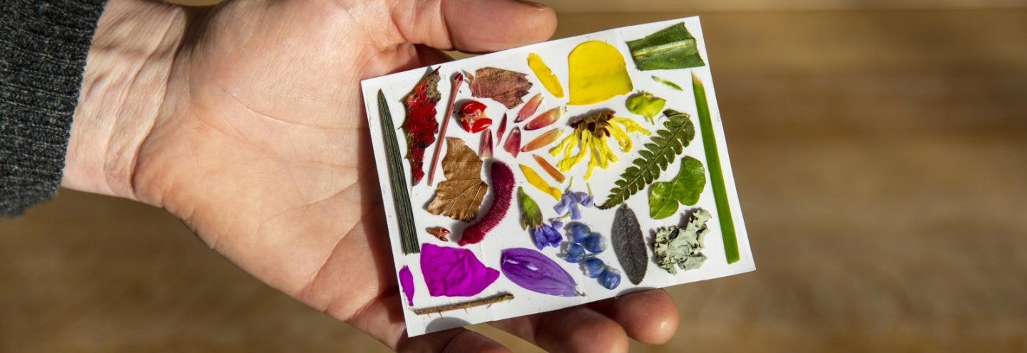 A hand holding a piece of paper with various natural objects - leaves, flowers etc, in a rainbow of colours stuck on top.
