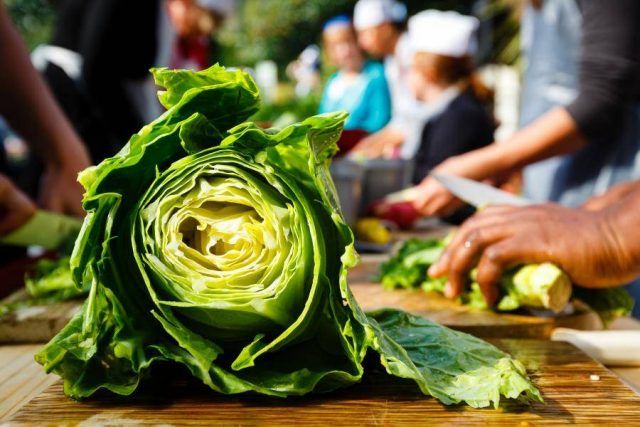 A leek being chopped