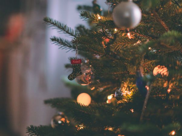 Christmas tree with decorations