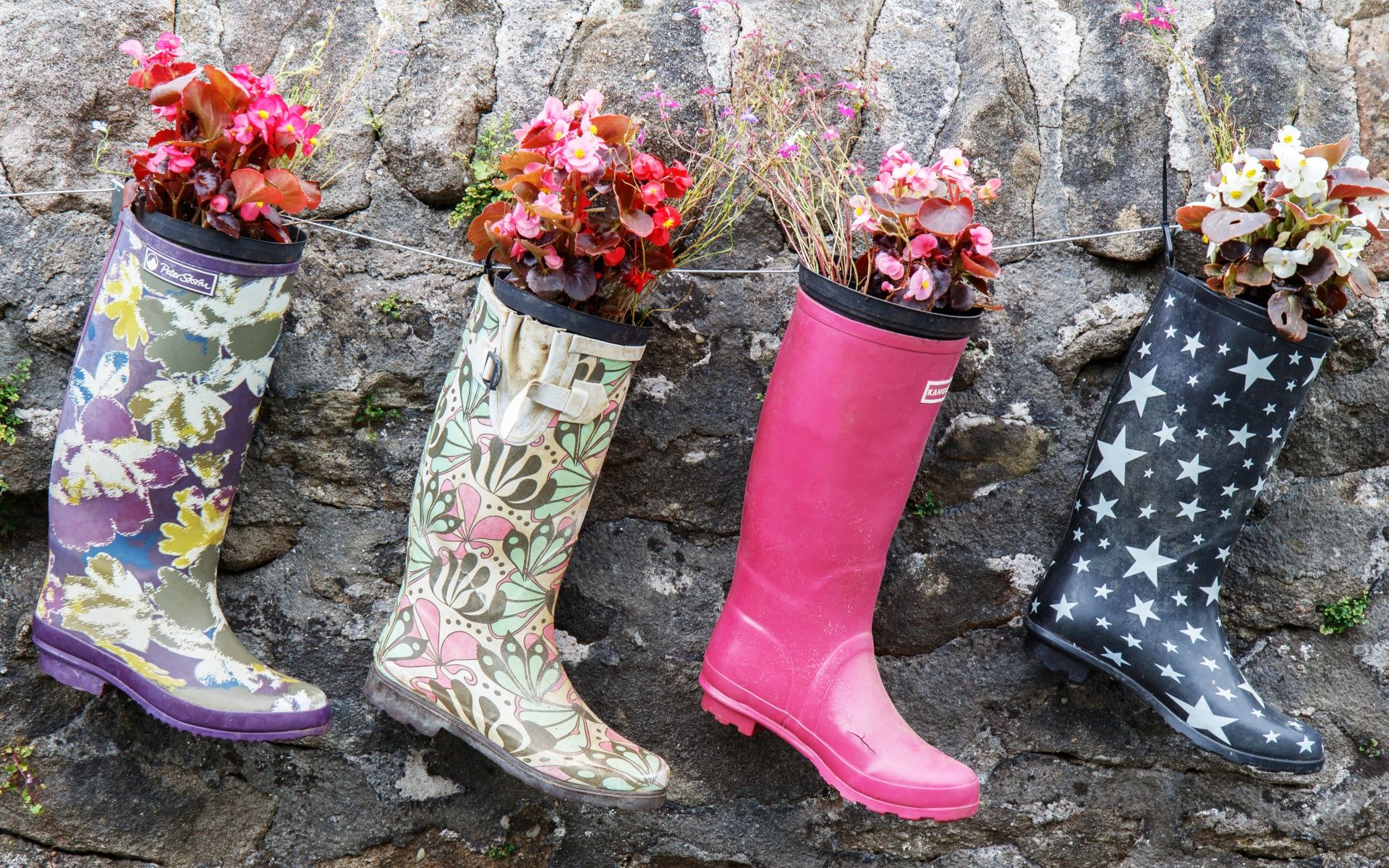 Flowers in welly boots