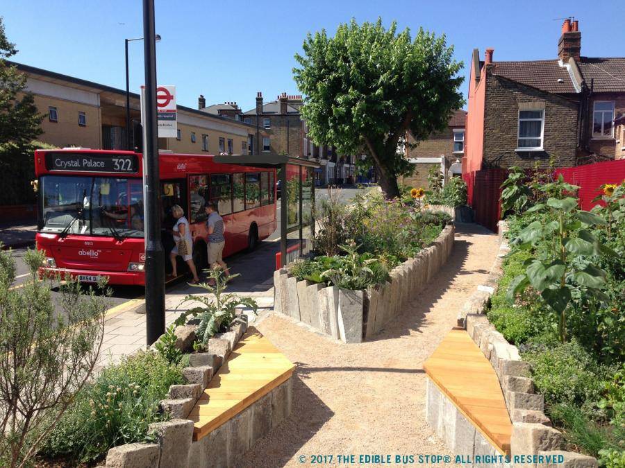 Crystal palace bus next to a community garden