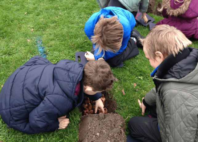 Children planting seeds in the ground