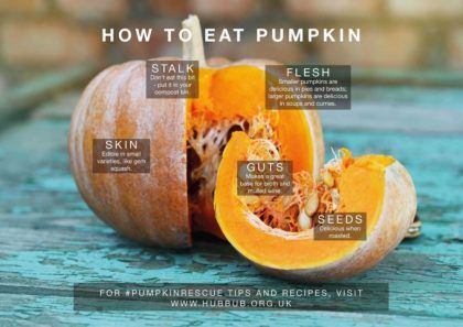 How to eat a pumpkin poster