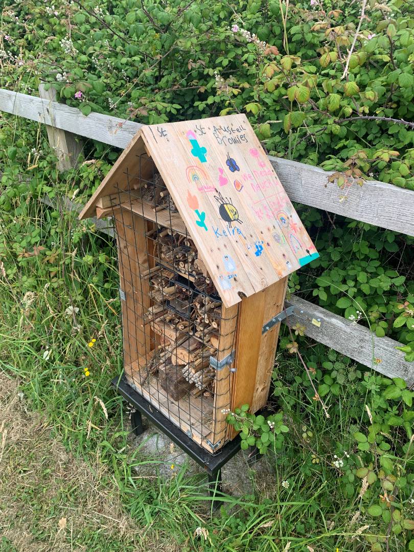 A small bee hotel attached to a fence. It's in the shape of a house.