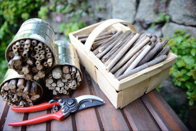 Pieces of wood in a basket and some secateurs, ready to make a bee hotel. You can see existing bee hotels made from tin cans in the background.