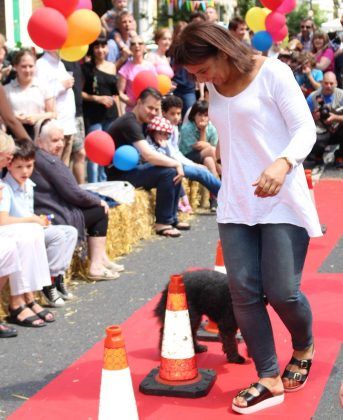 walking dog down street