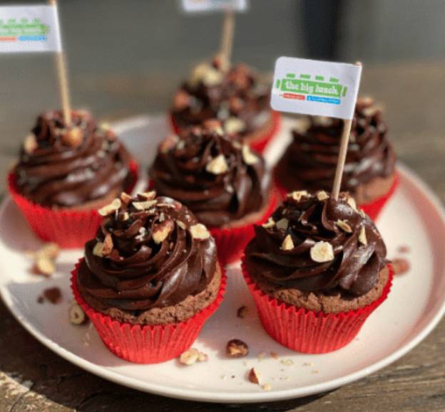 Chocolate cupcakes