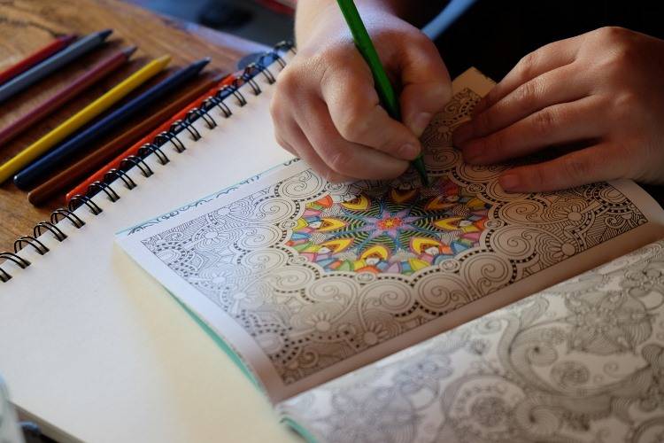 adult colouring in