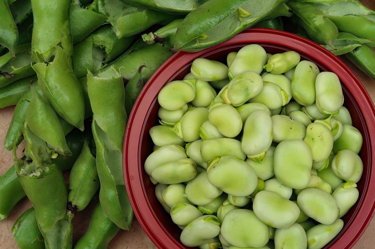 Broad beans