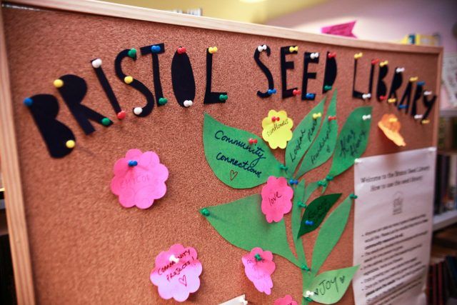 Bristol Seed Library noticeboard - post it notes are pinned in the shape of a flower