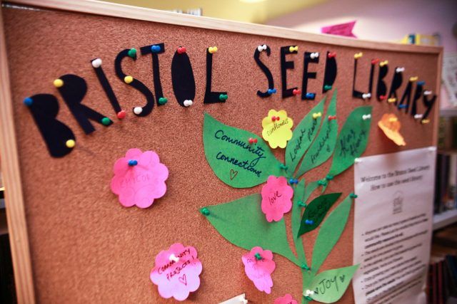 Bristol Seed Library noticeboard - post it notes are pinned in the shape of a flower