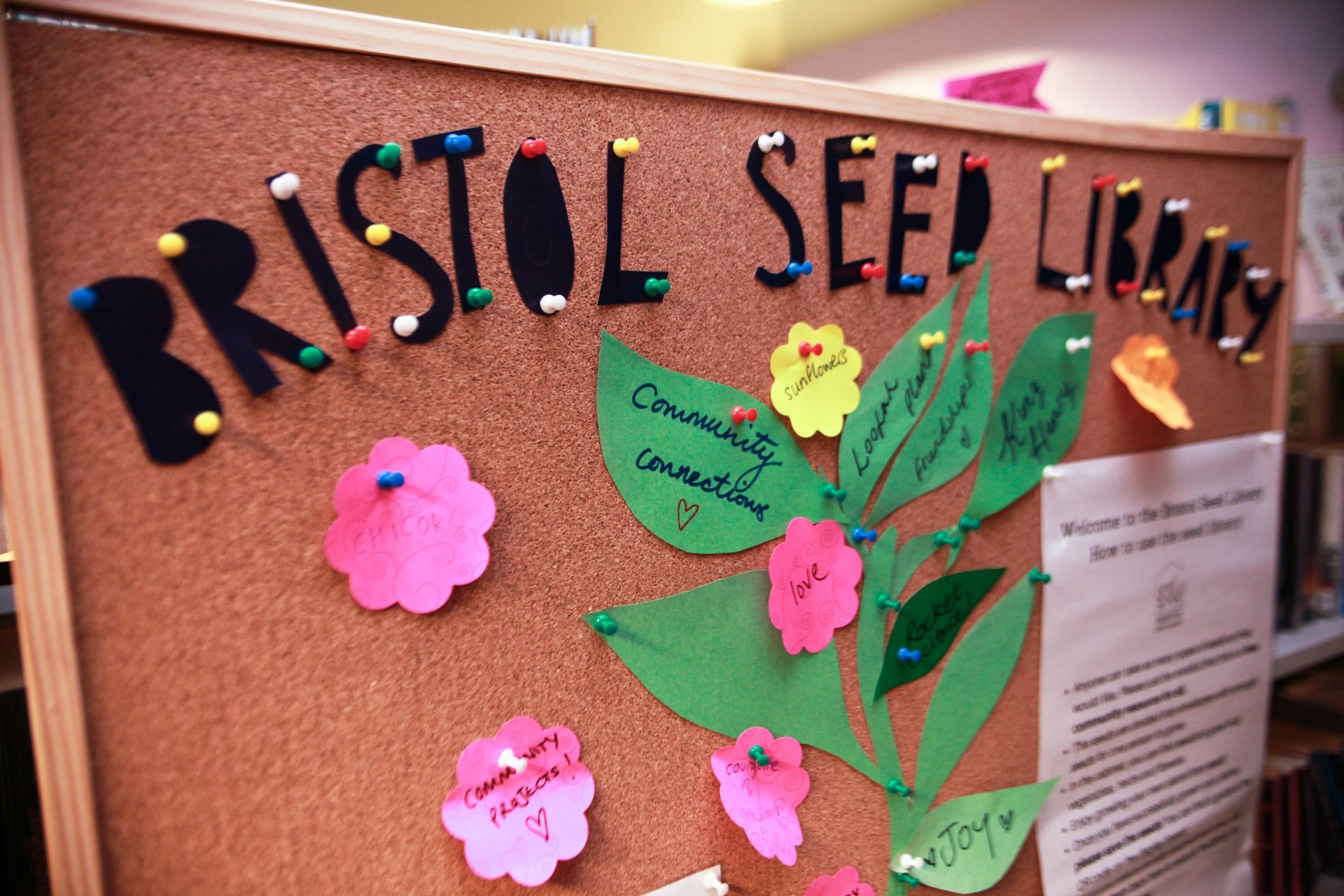 Bristol Seed Library noticeboard - post it notes are pinned in the shape of a flower