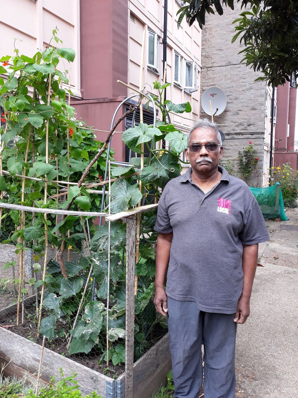 Mutthu standing outside a planter which is full of healthy growing veg. You can see an urban building in the background.
