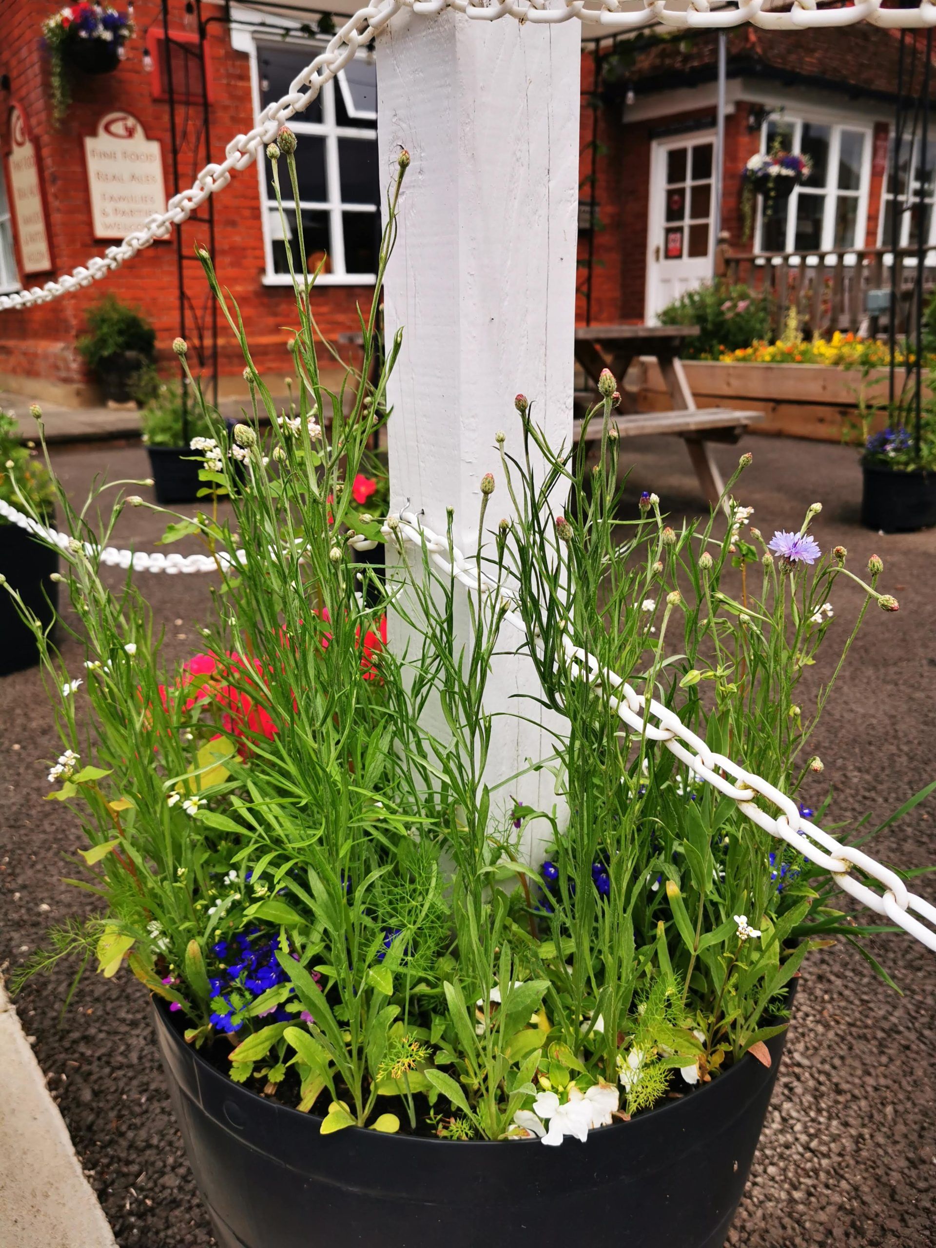 A planter outside a pub filled with bright flowers
