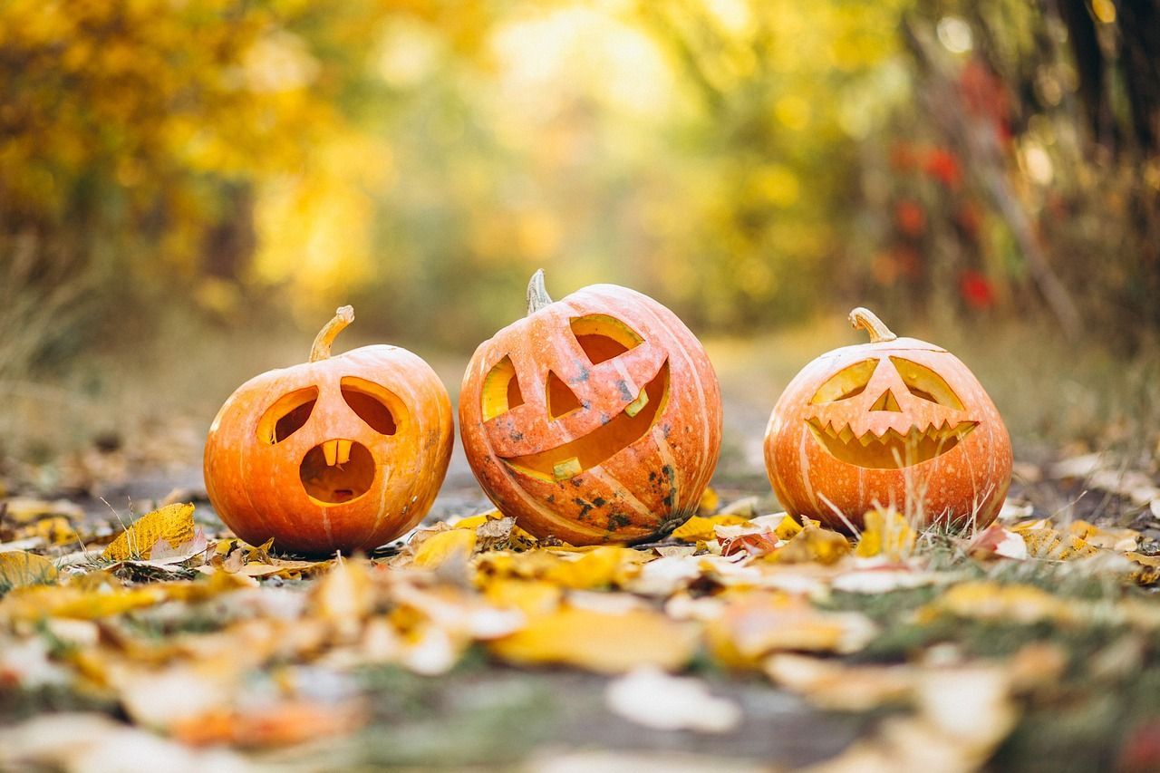 Three pumpkins with faces - two happy and one angry, lie on a woodland path in sunshine.