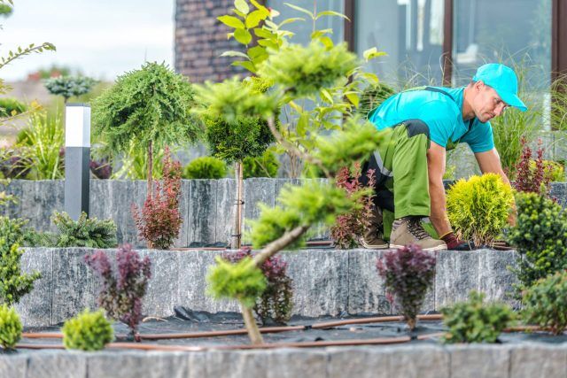 A man planting shrubs in a concrete urban environment