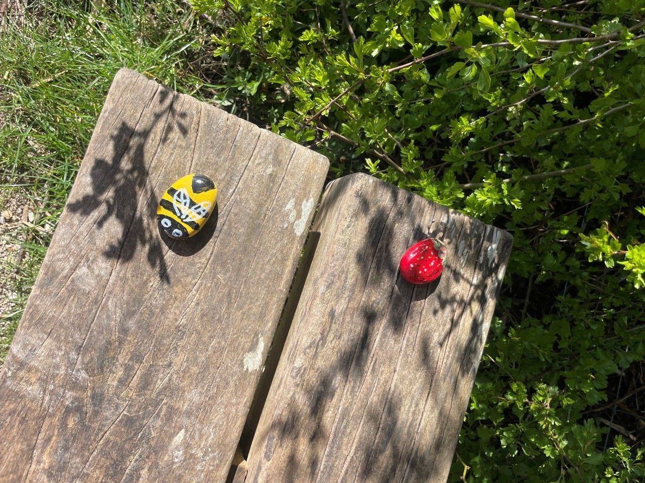 Painted rocks to look like insects on a bench