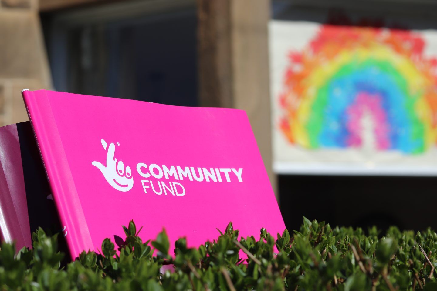 Community Fund logo on a pink flag set in grass with a rainbow picture in the background