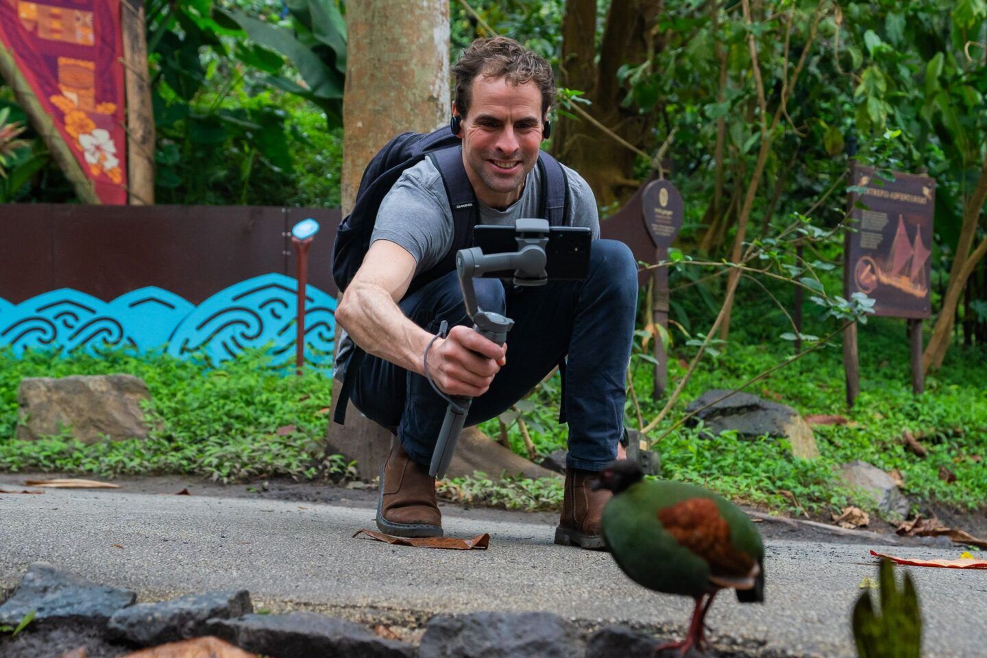 Man filming in the tropical biome as part of Eden Project Live Lesson