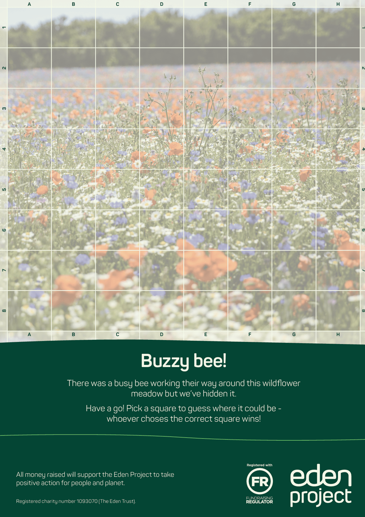 Buzzy bee spotting game 2025