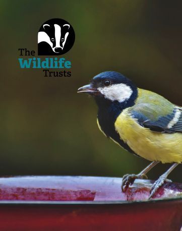 Provide water for wildlife with The Wildlife Trusts